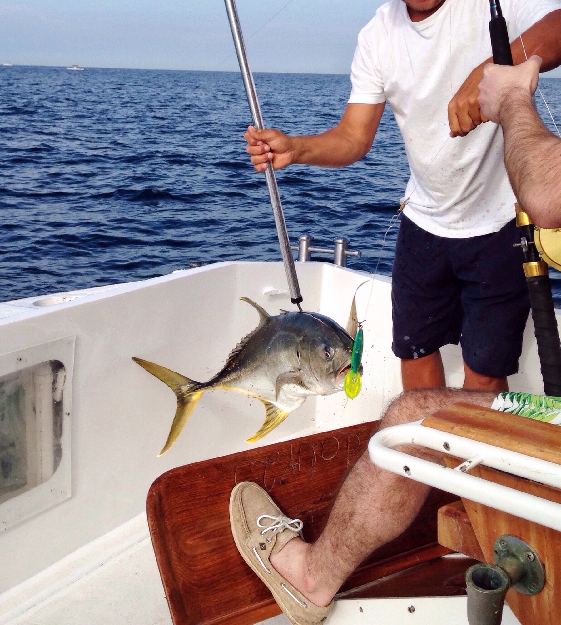 yellow-fin-tuna-fishing.jpg